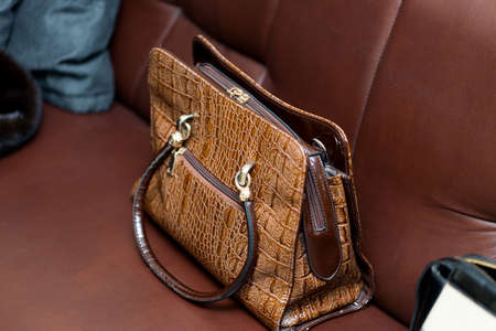 leather handbag from crocodile leather on a brown leather couchの写真素材