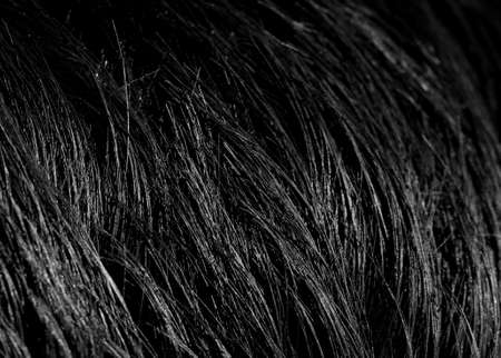 background black hair close-upの写真素材