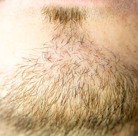male beard close-upの写真素材