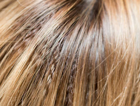 hair as a backgroundの写真素材