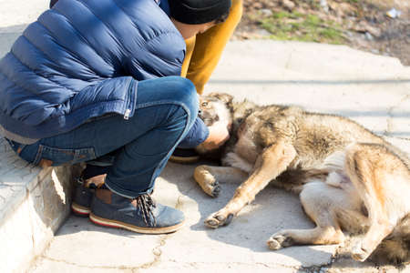 Young man sitting and playing with brown dogの写真素材