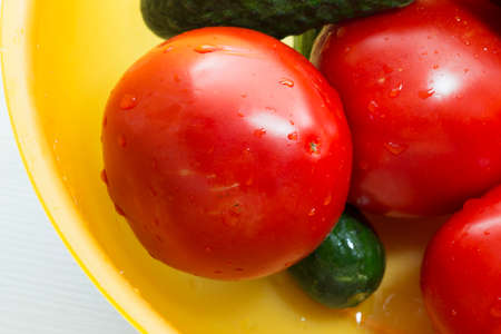 tomato and cucumber on a plastic bowlの写真素材