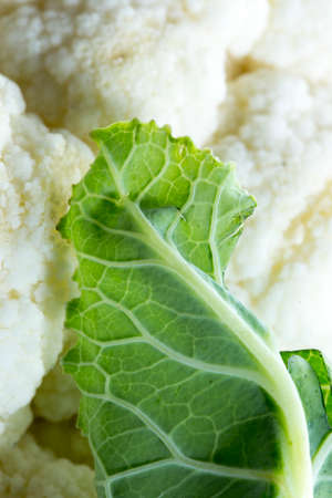 Fresh cauliflowerの写真素材