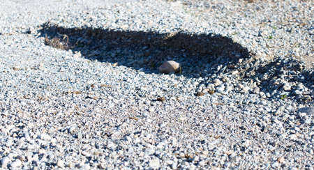 river with stonesの写真素材