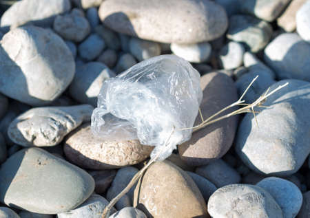 river with stonesの写真素材