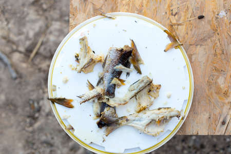 fried fish in nature, while fishingの写真素材