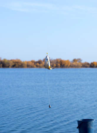 good rest, fish hanging on the hookの写真素材