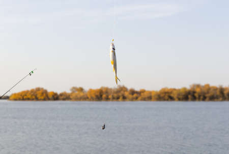 good rest, fish hanging on the hookの写真素材