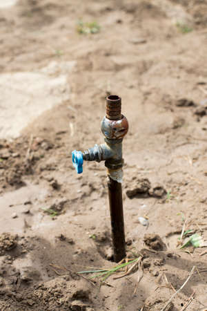 water faucet in the garden