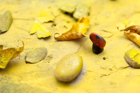 handmade from the autumn theme for the kindergartenの写真素材