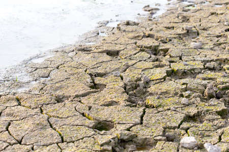 ecology, salty earthの写真素材