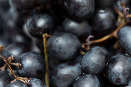 black grape macro