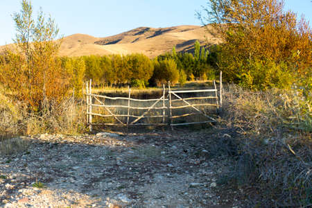 wooden gates in natureの写真素材