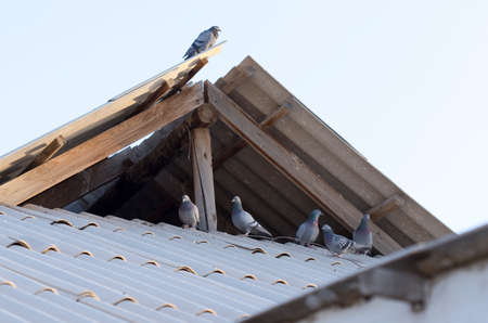 old wooden window on a white backgroundの写真素材