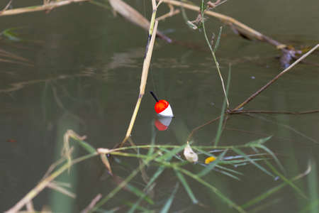 fishing, float rod on the waterの写真素材