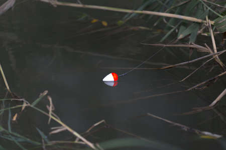 fishing, float rod on the waterの写真素材