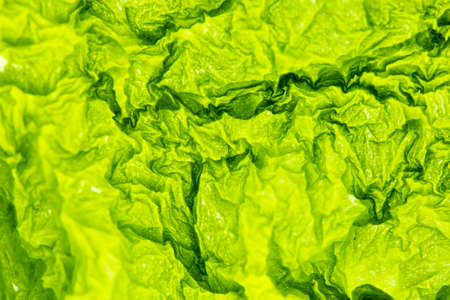 Wrinkled kraft paper. It is used for background and texture.