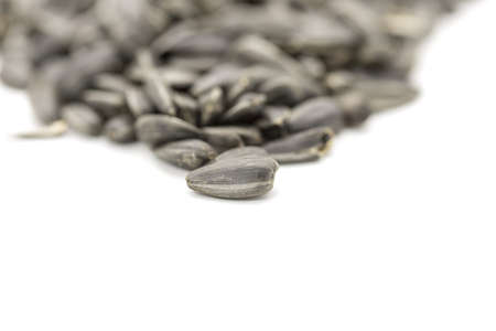 Fried sunflower seeds on white backgroundの写真素材