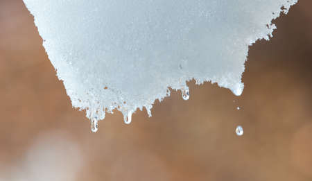 hanging snow macroの写真素材