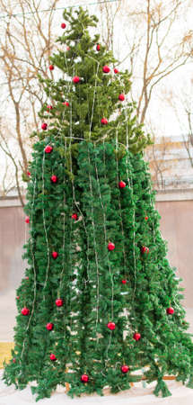 Beautiful Christmas Treeの写真素材