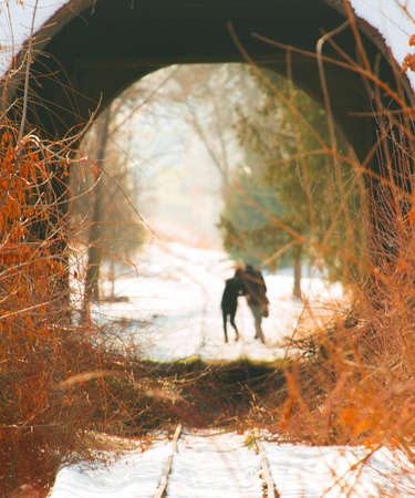 A man and a woman walk along the railway and exit the tunnel. Light at the end of the tunnelの写真素材