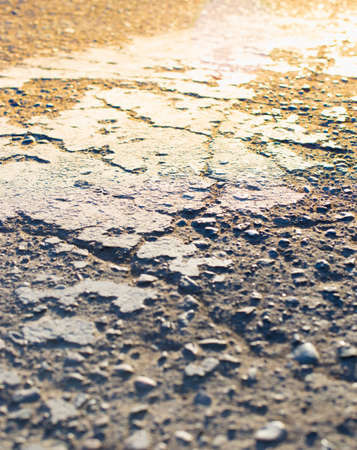 macro background of asphalt at sunsetの写真素材