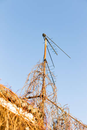 aerial on the roof against the skyの写真素材