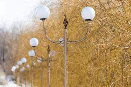 White spherical round lamp in the park near the sidewalkの写真素材