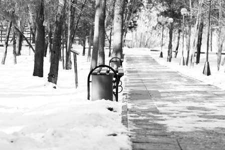 winter, bench and urn in the park