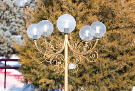 White spherical round lamp in the parkの写真素材