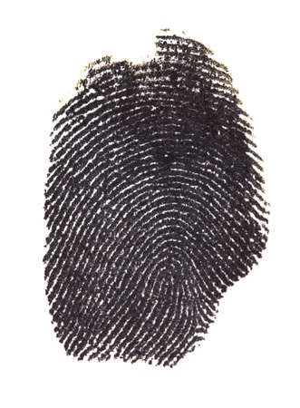 fingerprint isolated on whiteの写真素材
