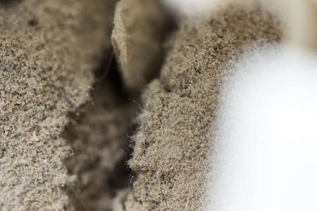 dirty vacuum cleaner bag macroの写真素材