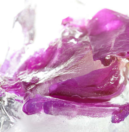 Frozen beautiful pink flower blooms in ice cubeの写真素材