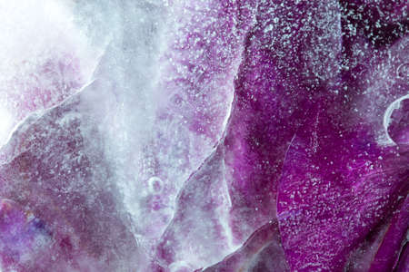 Frozen beautiful pink flower blooms in ice cubeの写真素材
