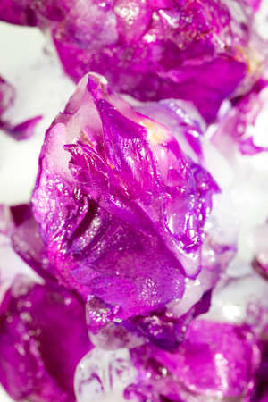 Frozen beautiful pink flower blooms in ice cubeの写真素材