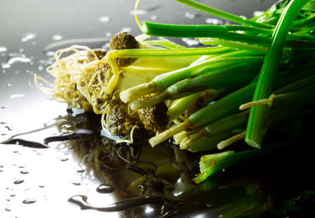 fresh greens dill and parsley on a black backgroundの写真素材