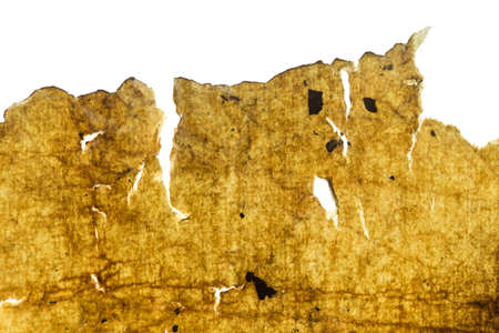 old, worn paper in background qualityの写真素材