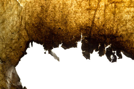 burnt old paper on whiteの写真素材