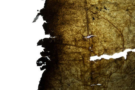 burnt old paper on whiteの写真素材