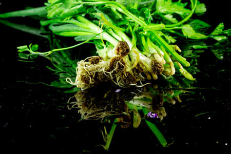 fresh greens dill and parsley on a black backgroundの写真素材