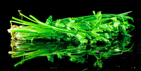 fresh greens dill and parsley on a black backgroundの写真素材