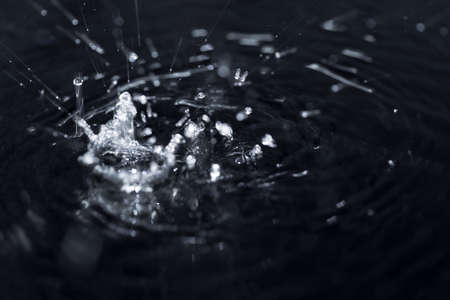 crown formed by a water spray on a black backgroundの写真素材