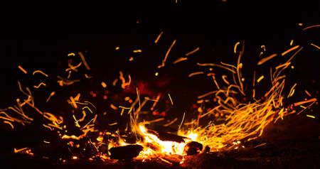 Flame of fire with sparks on a black background