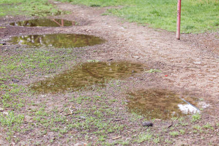 puddle after rainの写真素材