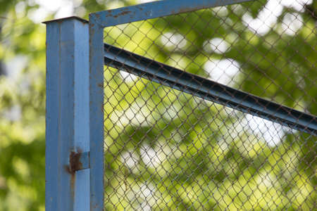 Green wire fence on background of green treesの写真素材