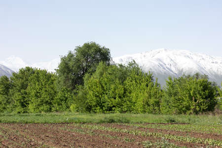 mountains and houses from afarの写真素材