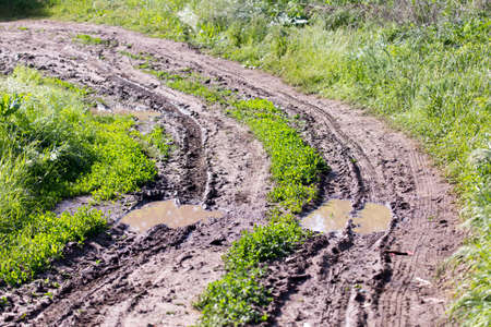 spring after rain, rural road along the edges of fields of dense green grass