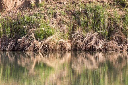 small lake with reflectionsの写真素材