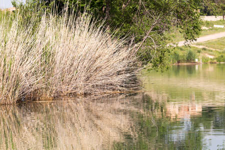 small lake with reflectionsの写真素材