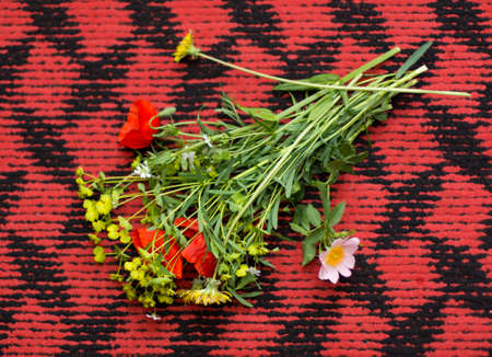 bright wildflowers on a red backgroundの写真素材